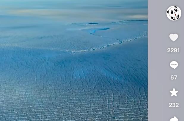 宠物经济项目可行性分析-别人能赚钱，你为什么不能？