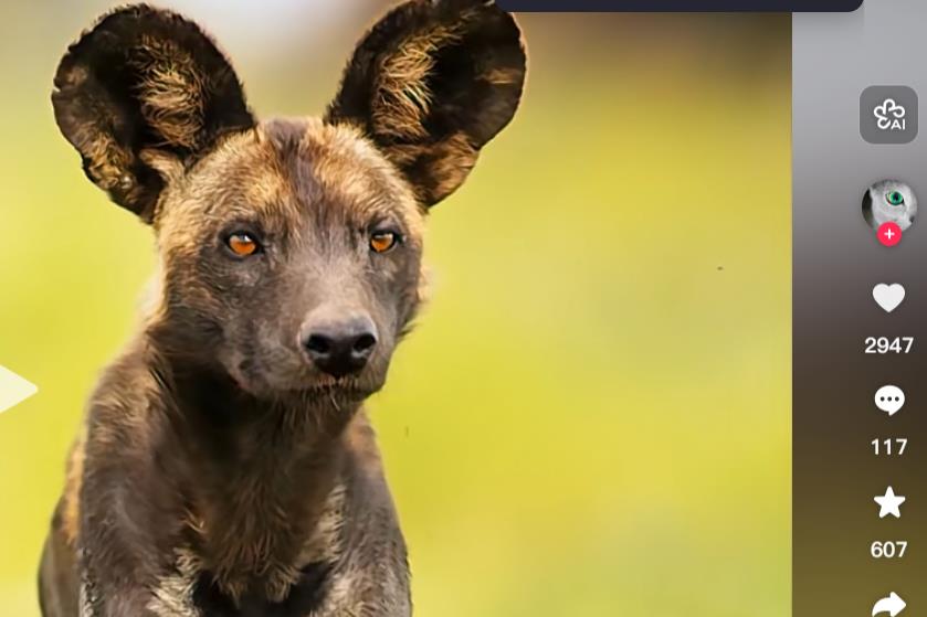 漫改头像项目的操作流程与盈利模式-赚钱项目