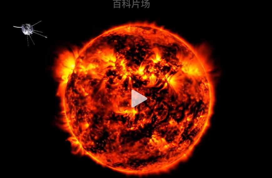 室内绿植改造项目的市场潜力与创业机会-好项目推荐