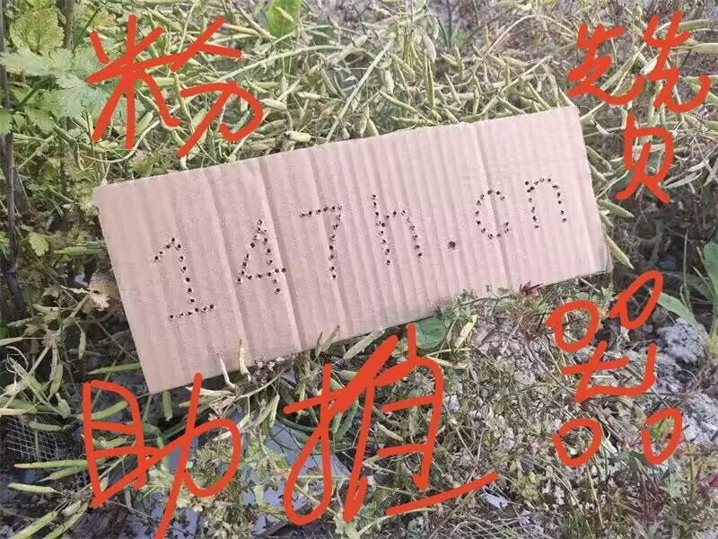 抖音24小时自助下单平台 - 抖音刷赞网站,播放秒刷自助下单平台