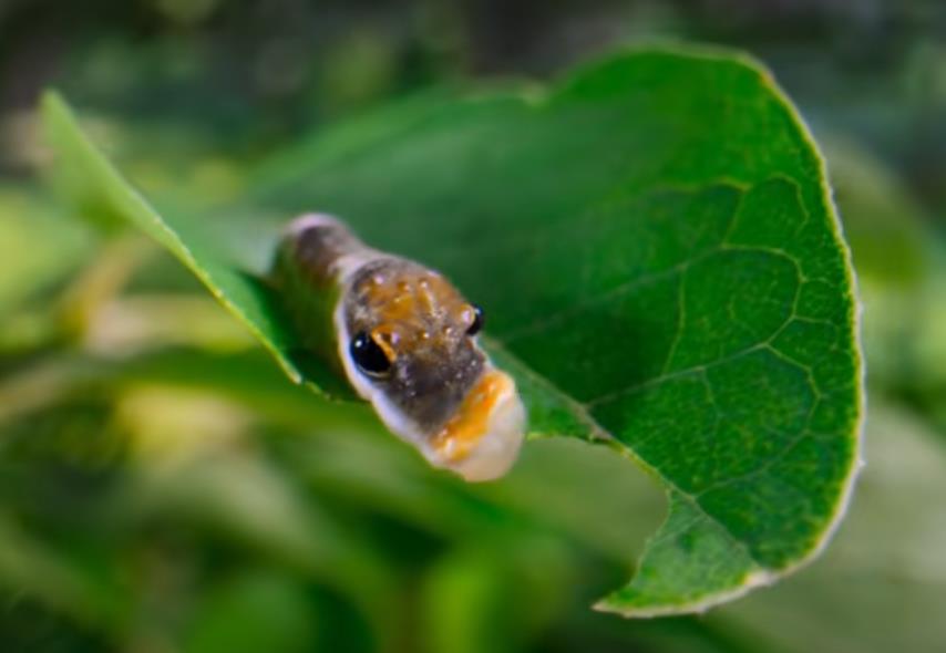 2026年别再掉进直销的陷阱-直销套路揭秘