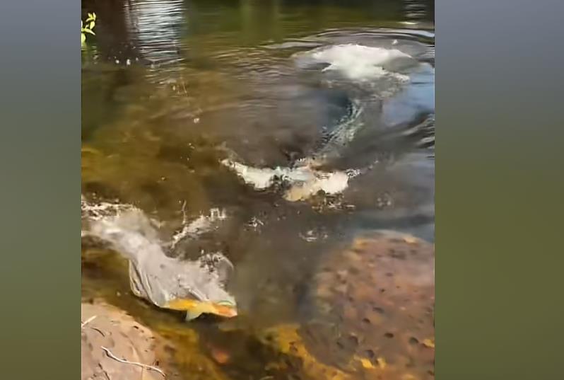 警惕新型电信诈骗：克隆号码与 AI 骗术的双重陷阱