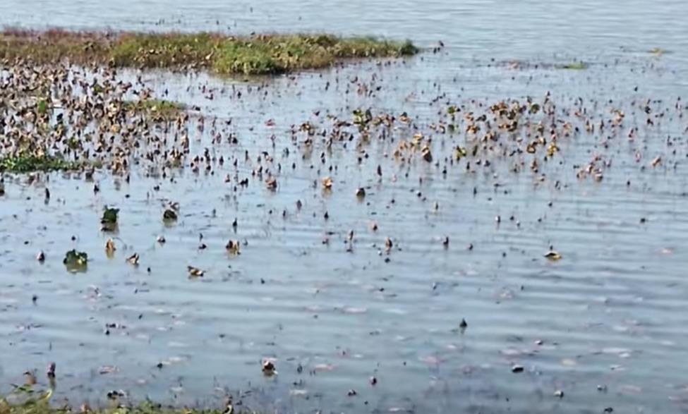 短视频创作：解锁传播与涨粉的底层逻辑-卡盟一手货源网