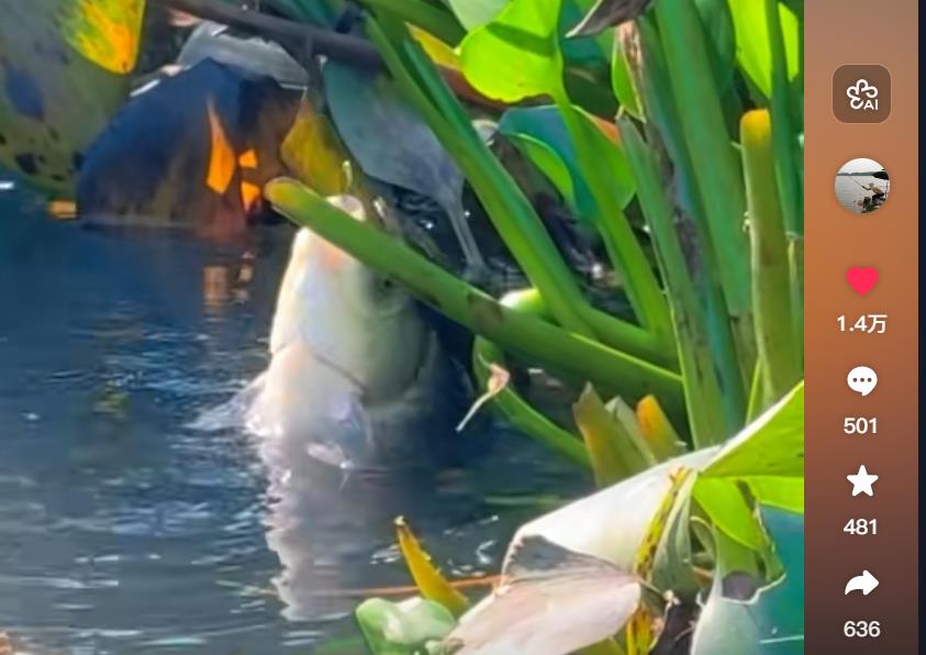 上海云锦东方：一场五亿骗局背后的信任崩塌