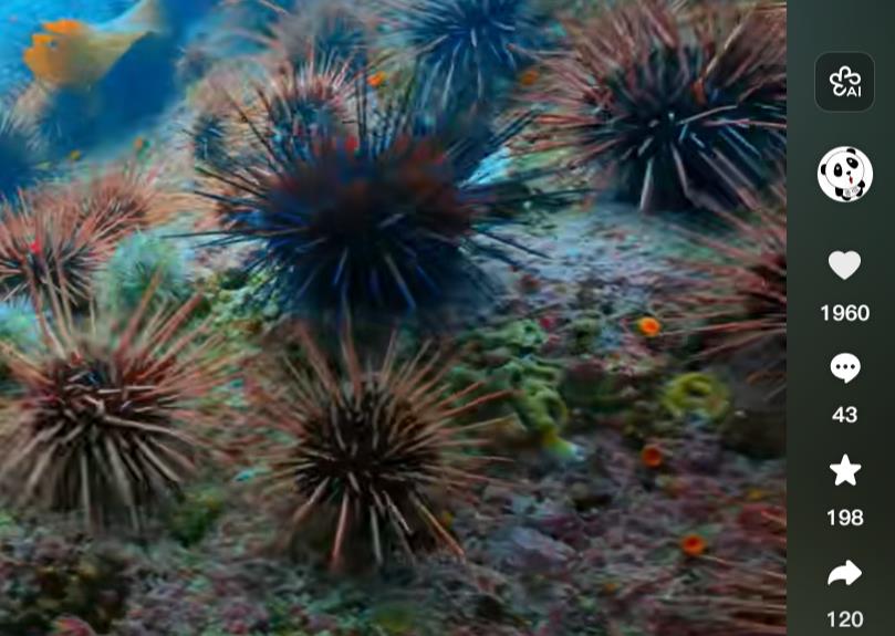 直播挂铁是怎么弄的-抖音直播间挂人气自助网站