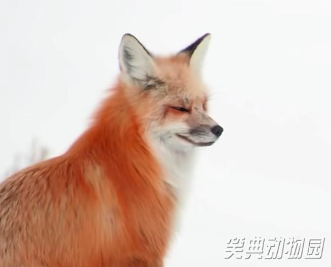 快手涨活粉神器软件快手低价买粉攻略:可靠途径与持续发展