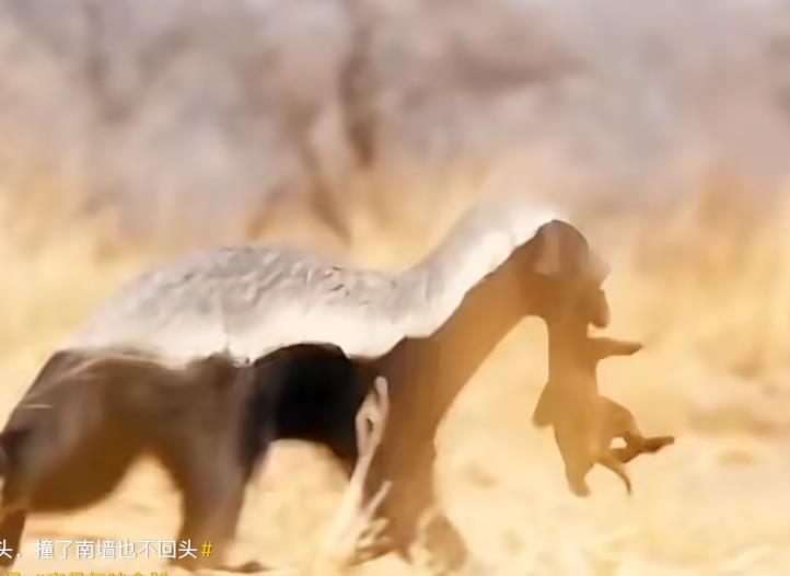 快手直播没人看?一招搞定挂铁难题